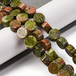 Natural Unakite Beads Strands&nbsp;G-C159-B05-01