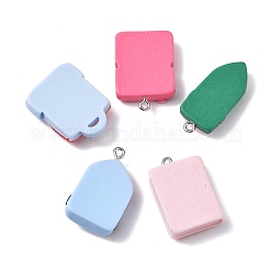 10Pcs 10 Styles Resin Pendants&nbsp;RESI-FP0001-27