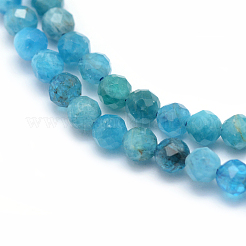 Natural Apatite Beads Strands&nbsp;X-G-E411-36-2mm-01