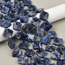 Natural Blue Spot Jasper Beads Strands&nbsp;G-L239-17