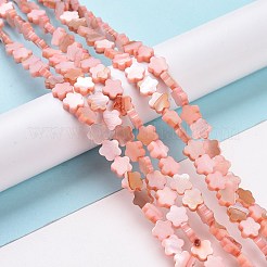 Natural Freshwater Shell Beads Strands&nbsp;SHEL-H002-03D