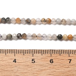 Natural Black Rutilated Quartz Beads Strands&nbsp;G-RM241221-B24