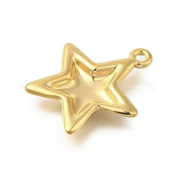 304 Stainless Steel Pendants&nbsp;STAS-U027-03G-02
