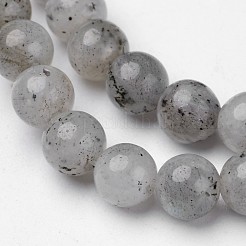 Natural Labradorite Beads Strands&nbsp;G-D809-07-6mm