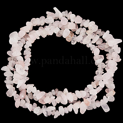 3 Strands Natural Rose Quartz Chip Beads Strands&nbsp;G-PA0001-36