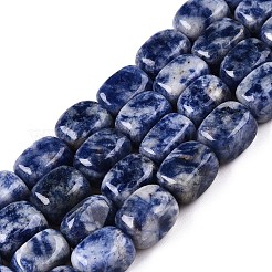 Natural Blue Spot Jasper Beads Strands&nbsp;G-T138-101