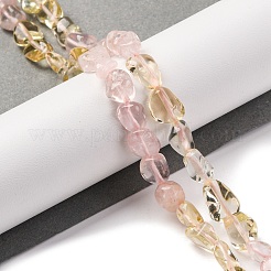 Natural Rose Quartz & Lemon Quartz Beads Strands&nbsp;G-L610-B18-01