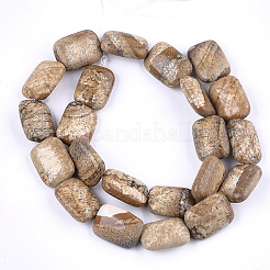 Natural Picture Jasper Beads Strands&nbsp;G-T121-12