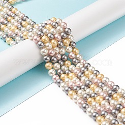 Shell Pearl Bead Strands&nbsp;LS-BSHE-L017-17