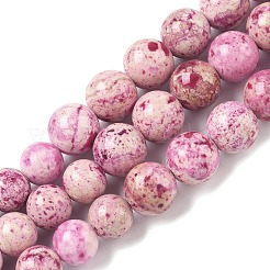 Natural Fossil Graduated Beads Strands&nbsp;G-F830-A03-01