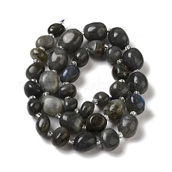 Natural Larvikite Beads Strands&nbsp;G-Q169-E05-01