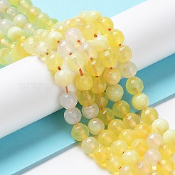 Natural Fire Crackle Agate Bead Strands&nbsp;G-K166-07F-6mm-07
