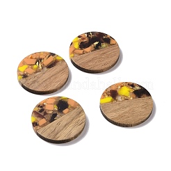 Transparent Resin & Walnut Wood Pendants&nbsp;RESI-N025-045A