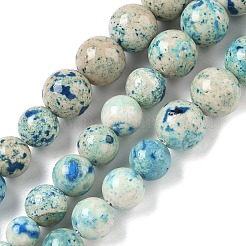 Natural Fossil Graduated Beads Strands&nbsp;G-F830-A03-01E