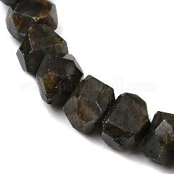 Natural Labradorite Beads Strands&nbsp;G-F796-D05-01