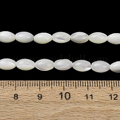 Natural Trochid Shell/Trochus Shell Beads Strands&nbsp;SH-CBA2978-09