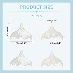 20Pcs Natutal Shell Pendants&nbsp;SHEL-WR0001-05