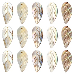 10Pcs Natural Freshwater Shell Carved Pendants&nbsp;SHEL-YW0001-10