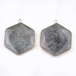 Natural Labradorite Pendants&nbsp;G-T112-19A
