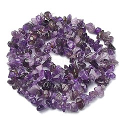 Natural Amethyst Chip Beads Strands&nbsp;G-YW0002-09