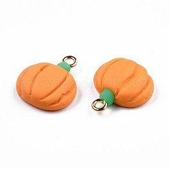Handmade Polymer Clay Pendants&nbsp;CLAY-N010-068