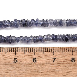 Natural Iolite Beads Strands&nbsp;G-K427-C01-01