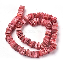 Freshwater Shell Beads Strands&nbsp;BSHE-O017-10