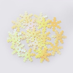 Ornament Accessories Plastic Paillette/Sequins Beads&nbsp;PVC-E001-04-RC01