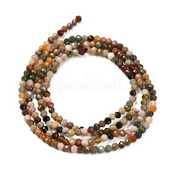 Natural Alashan Agate Beads Strands&nbsp;G-G277-A01-2mm