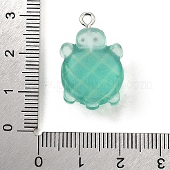 Transparent Resin Pendants&nbsp;FIND-U030-02P