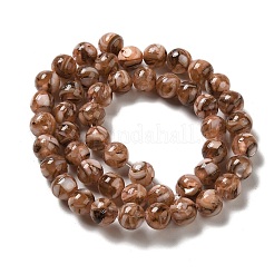 Freshwater Shell Beads Strands&nbsp;BSHE-L039-08B-04