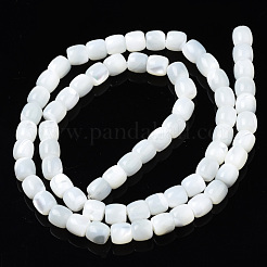 Natural Trochid Shell/Trochus Shell Beads Strands&nbsp;SSHEL-N034-121-B01