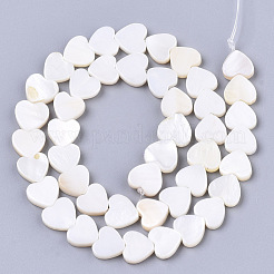 Natural Freshwater Shell Beads Strands&nbsp;X-SHEL-S276-70