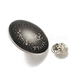 Twelve Constellation Creative Alloy Badges Constellation Brooches&nbsp;LS-JEWB-S033-01P-L