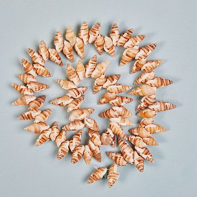 Natural Spiral Shell Beads Strands&nbsp;BSHE-SZ0001-05-1