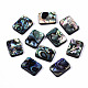 Natural Abalone Shell/Paua Shell Beads&nbsp;SSHEL-T014-11B-1
