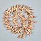 Natural Spiral Shell Beads Strands&nbsp;BSHE-SZ0001-05-2