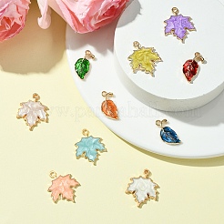 10Pcs 10 Styles Zinc Alloy Pendants&nbsp;ENAM-YW0004-32