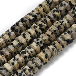 Natural Dalmatian Jasper Beads Strands&nbsp;G-G317-A16-3x6mm