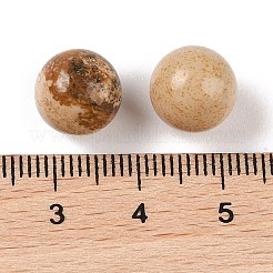Natural Picture Jasper No Hole Sphere Beads&nbsp;G-K353-04A-15