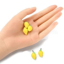 Opaque Resin Pendants&nbsp;RESI-YW0001-29