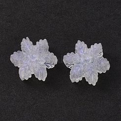 Transparent Acrylic Beads&nbsp;OACR-P007-30