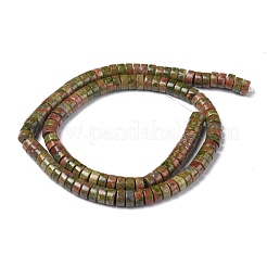Natural Unakite Bead Strands&nbsp;G-Z006-C12