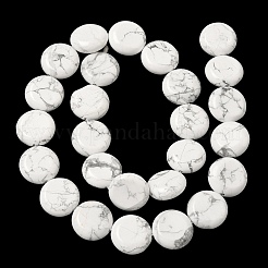 Natural Howlite Beads Strands&nbsp;G-L648-B17-15mm