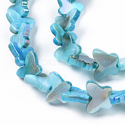 Natural Freshwater Shell Beads Strands&nbsp;SHEL-N026-206A