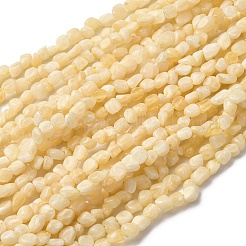 Natural Topaz Jade Beads Strands&nbsp;G-I389-A33