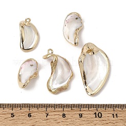 Brass & Natural Shell Pendants&nbsp;SH-CBA27C9-09