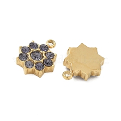304 Stainless Steel Charms&nbsp;STAS-L022-264G-03