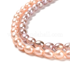 Natural Cultured Freshwater Pearl Beads Strands&nbsp;PEAR-E016-165