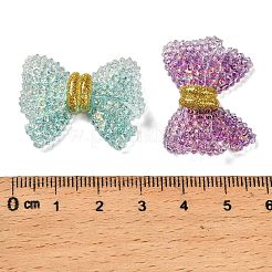 Transparent Resin Cabochons&nbsp;CRES-I044-04